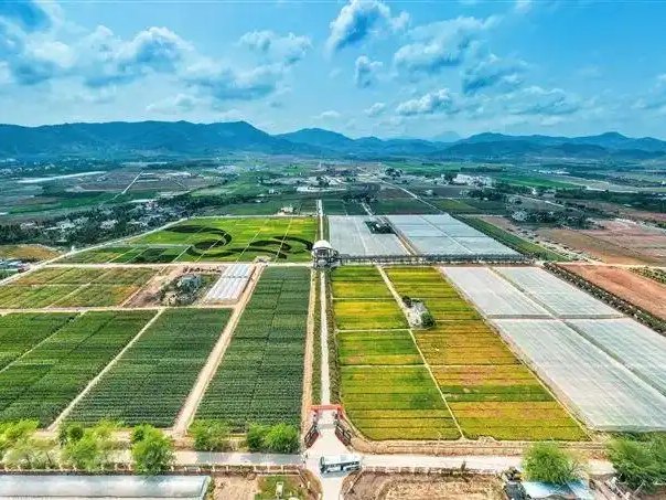 Hainan (Sanya) base — trial fields and greenhouses for tropical fruiting vegetables