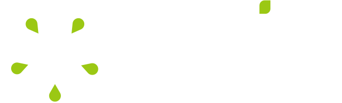 narita worldwide — wholesale vegetable seeds